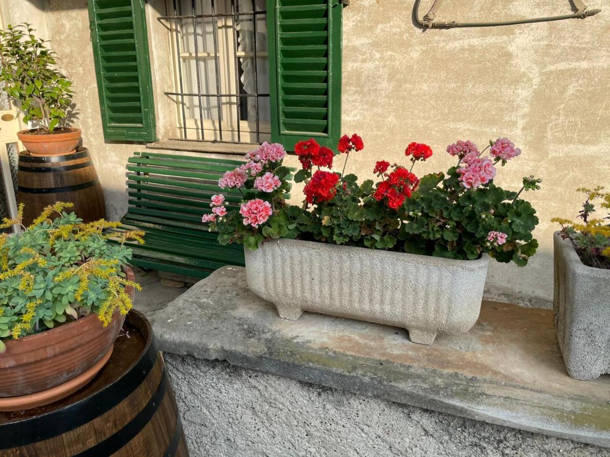 The Montevecchia Home - Frida Apartment Ngoại thất bức ảnh